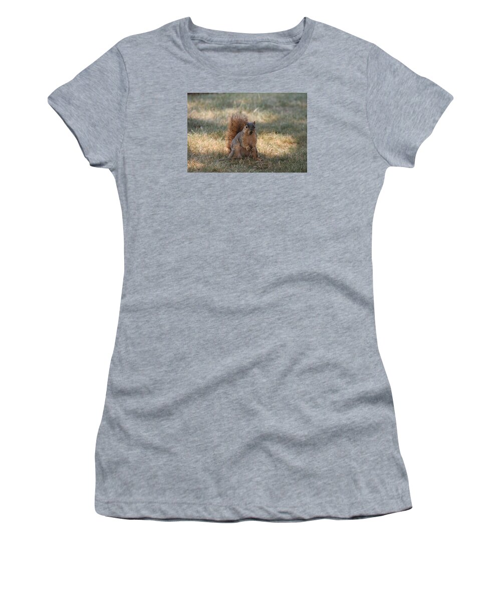 Squirrel Women's T-Shirt featuring the photograph Brown city squirrel watching me by Valerie Collins