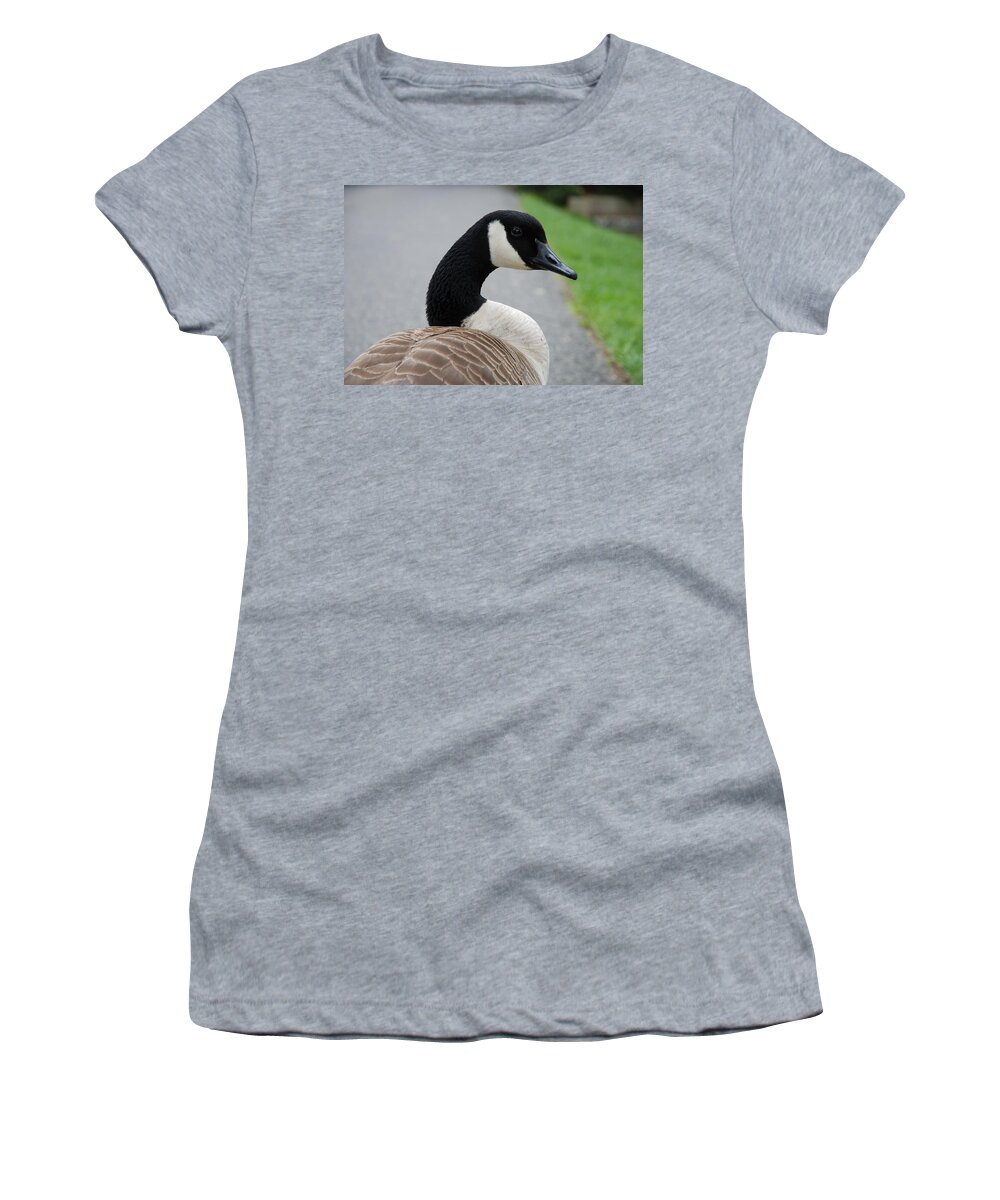 Canadian Goose Women's T-Shirt featuring the photograph Watching Me Watching You by Jennifer Ancker
