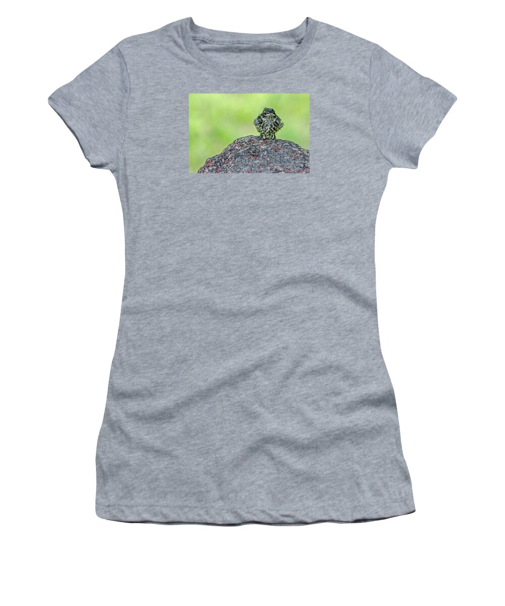 Bird Women's T-Shirt featuring the photograph Welcome To The World by Susan McMenamin
