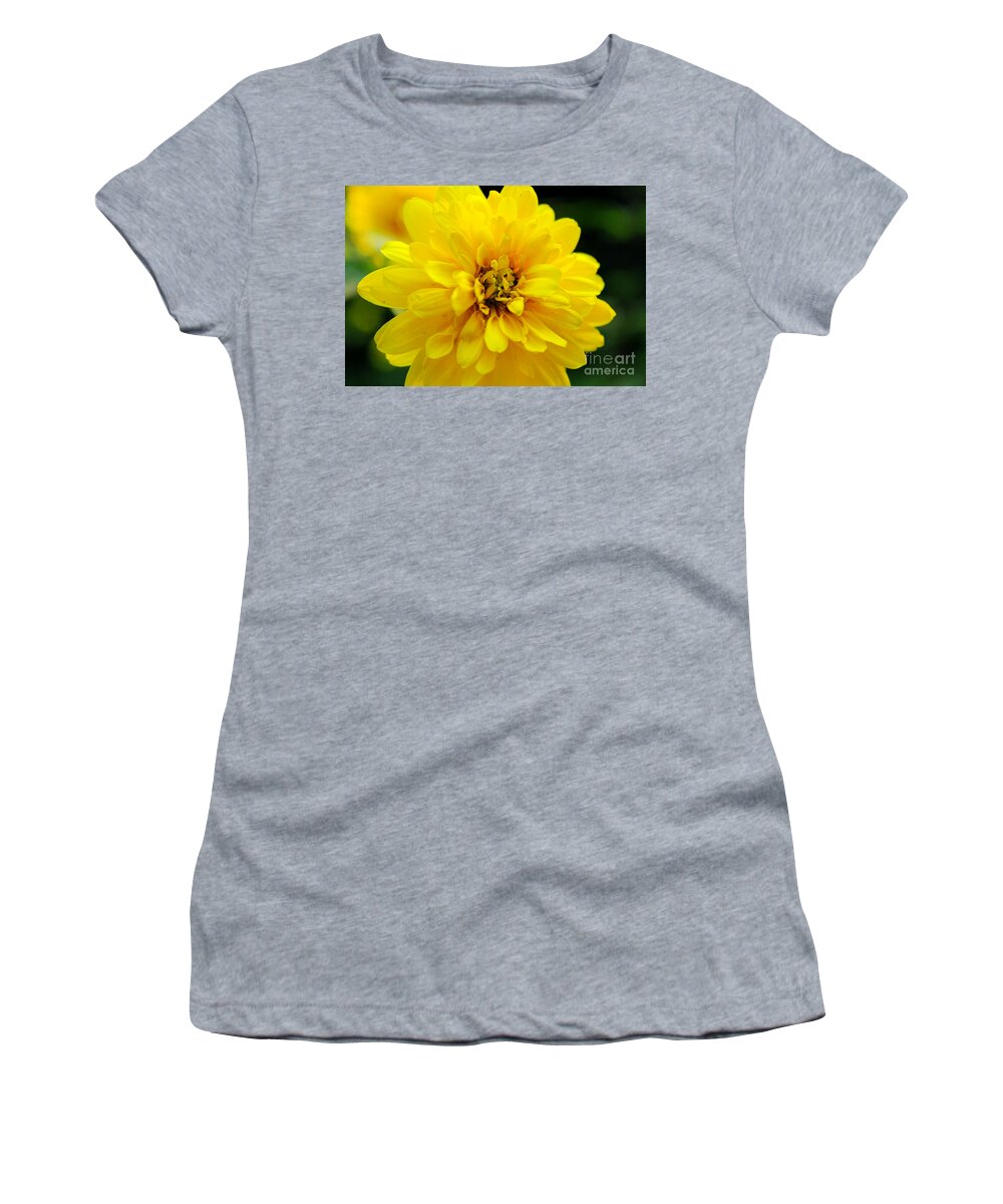 Yellow Marigold Women's T-Shirt featuring the photograph West Virginia Marigold by Melissa Petrey