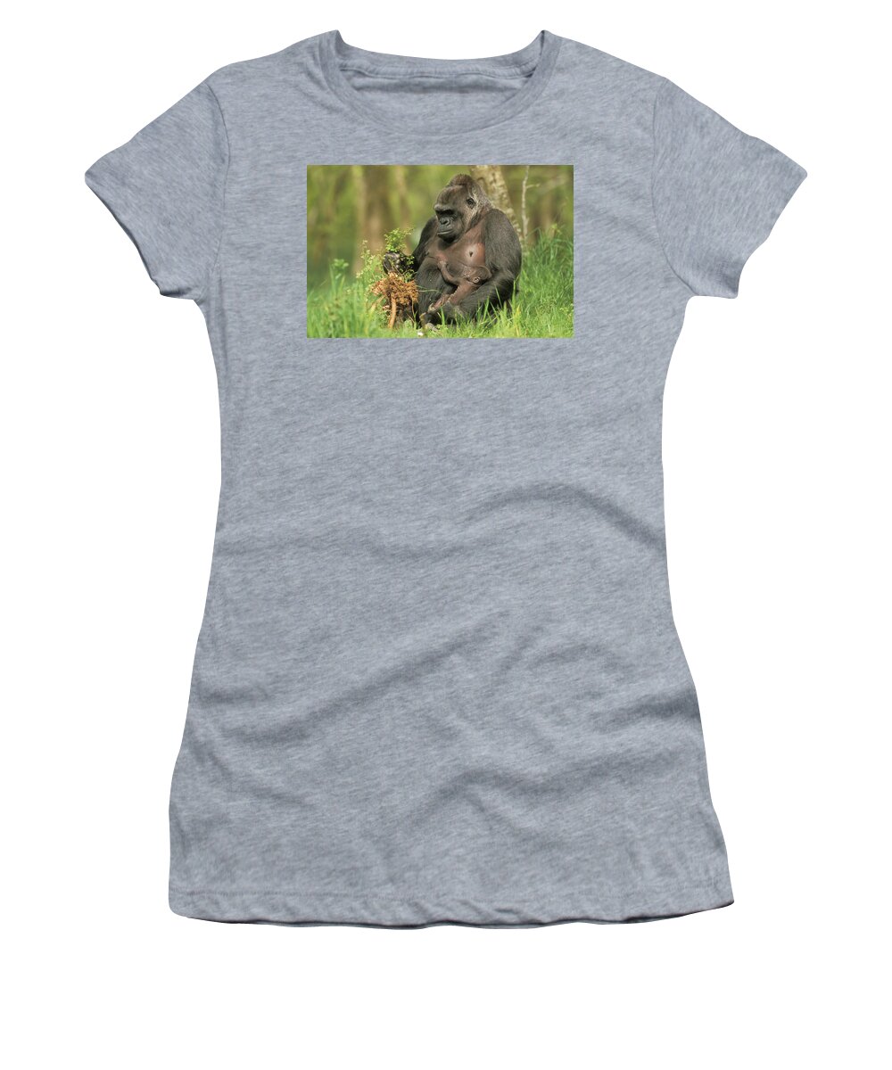Western Lowland Gorilla Women's T-Shirt featuring the photograph Western Gorilla And Young by M. Watson