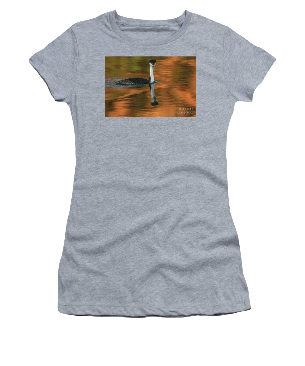 Animals Women's T-Shirt featuring the photograph Western Grebe by John F Tsumas