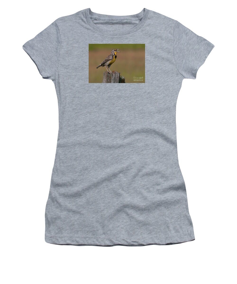 Festblues Women's T-Shirt featuring the photograph Western Meadowlark.. by Nina Stavlund