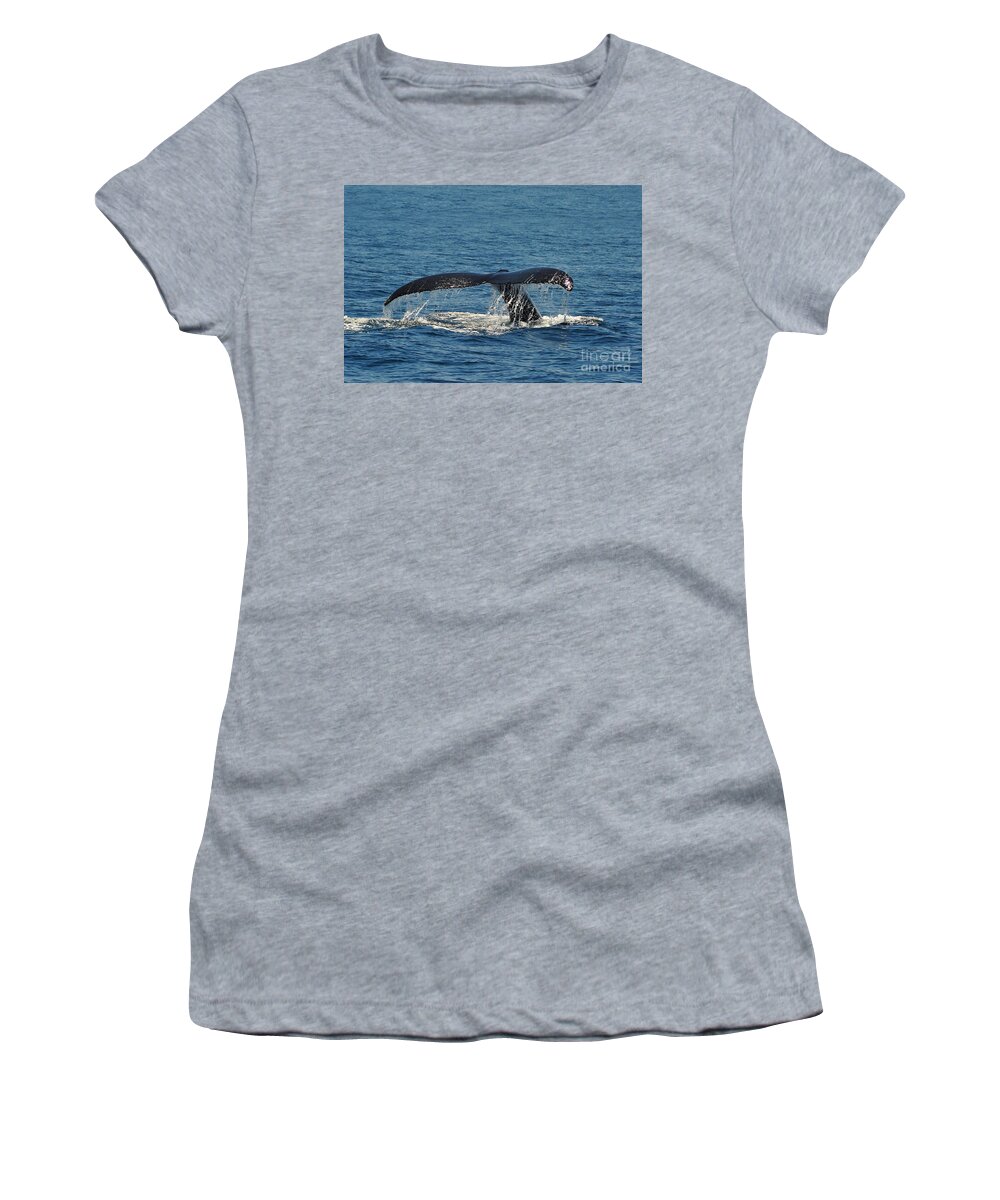 Whale Women's T-Shirt featuring the photograph Whale Tail by Randi Grace Nilsberg