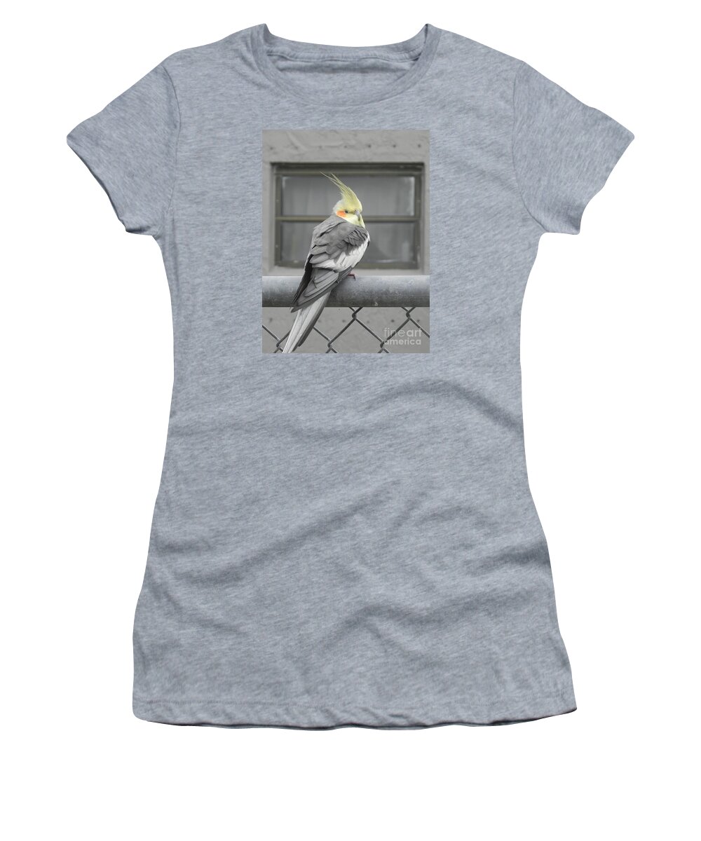 Photography Women's T-Shirt featuring the photograph What Window by Chrisann Ellis