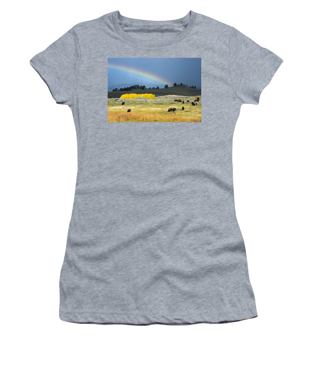 Bison Women's T-Shirt featuring the photograph Where the Buffalo Roam by Deby Dixon