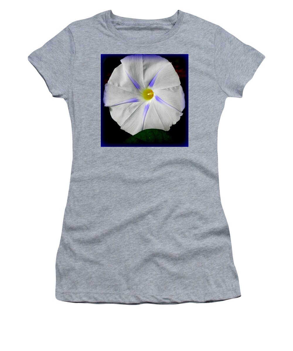 Morning Glory Women's T-Shirt featuring the photograph White Morning by Kim Galluzzo