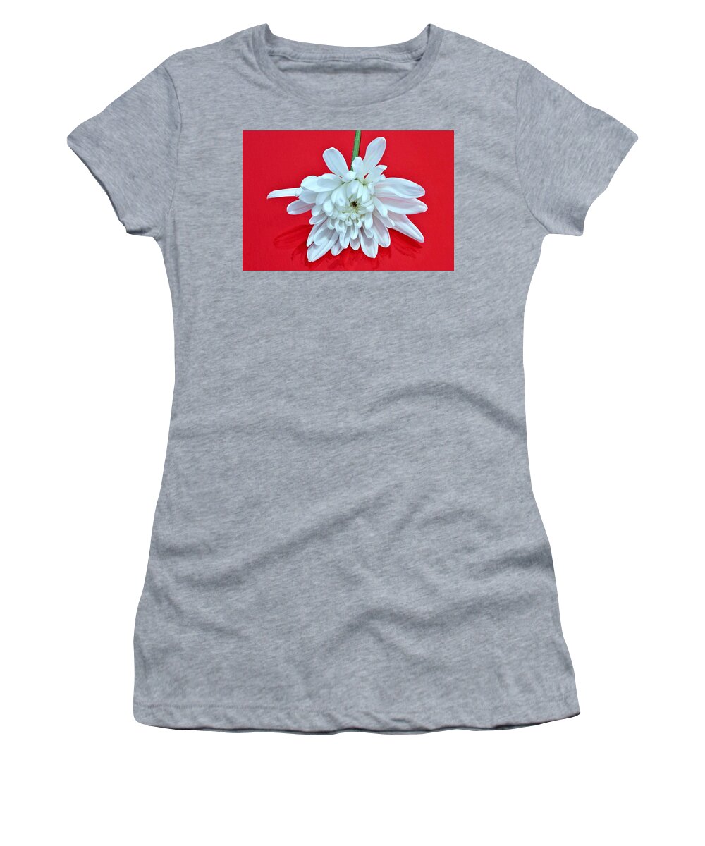 Flower Women's T-Shirt featuring the photograph White Flower on Bright Red Background by Phyllis Meinke