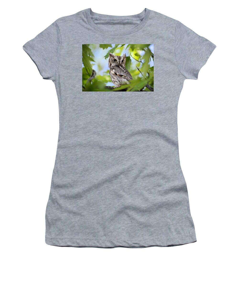Owl Women's T-Shirt featuring the photograph WHO was that by Bonfire Photography