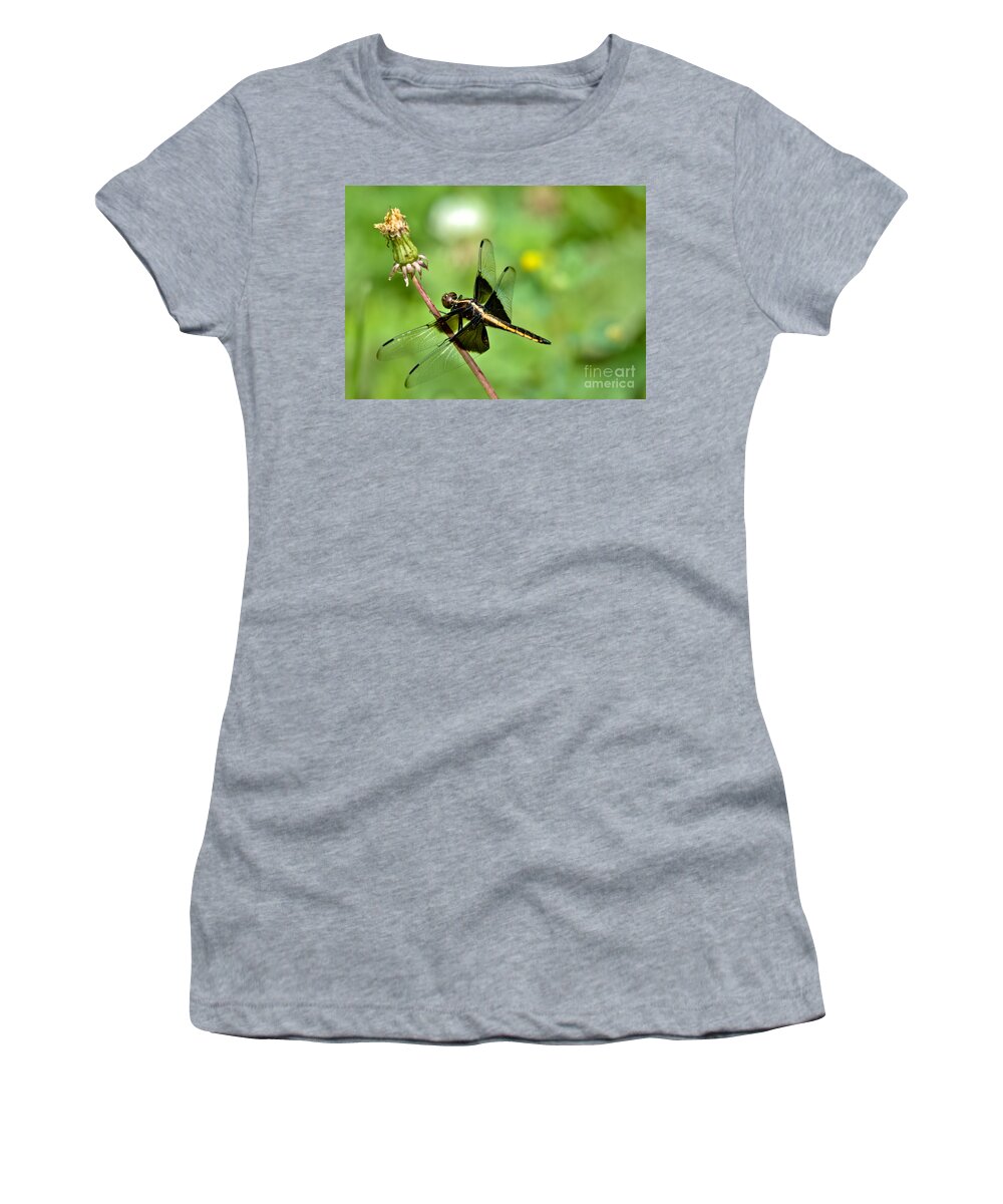 Widow Skimmer Women's T-Shirt featuring the photograph Widow Skimmer by Cheryl Baxter