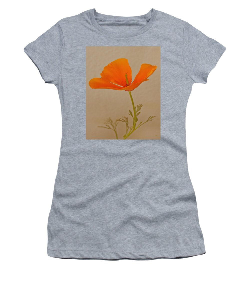California Poppy Women's T-Shirt featuring the photograph Wild California Poppy No 1 by Ben and Raisa Gertsberg