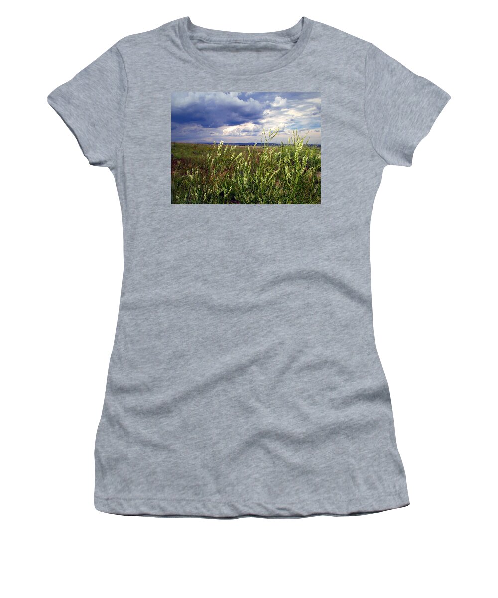 Grass Women's T-Shirt featuring the photograph Wild Grasses In Bloom At Paint Mines by Joyce Dickens