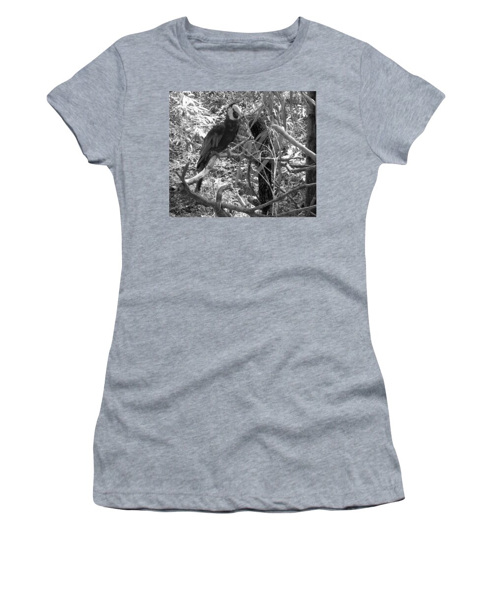 Wild Women's T-Shirt featuring the photograph Wild Hawaiian Parrot Black and White by Joseph Baril