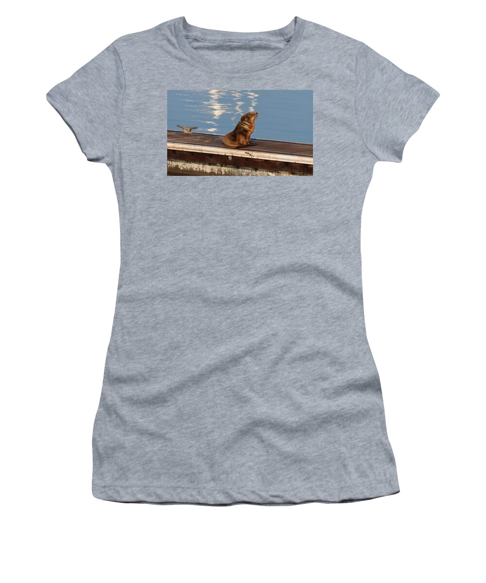 Wild Women's T-Shirt featuring the photograph Wild Pup Sun Bathing by Christy Pooschke