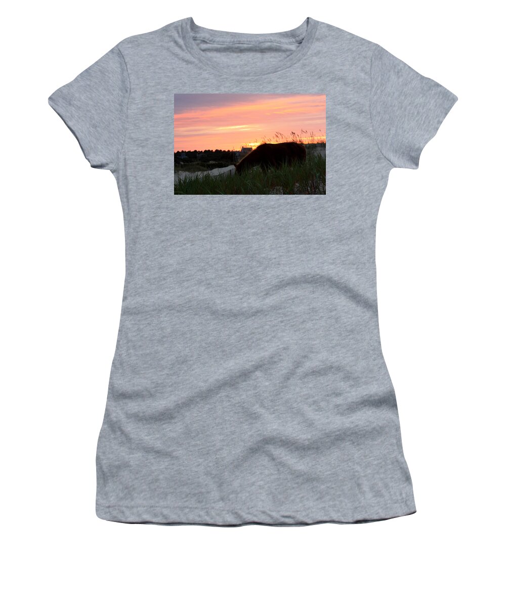 Wild Spanish Mustang Women's T-Shirt featuring the photograph Wild Silhouette at Sunset by Kim Galluzzo