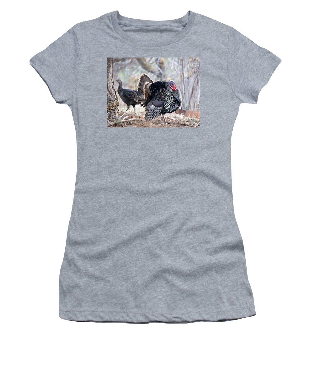 Turkey Women's T-Shirt featuring the photograph Wild Turkey Display by Michael Dawson