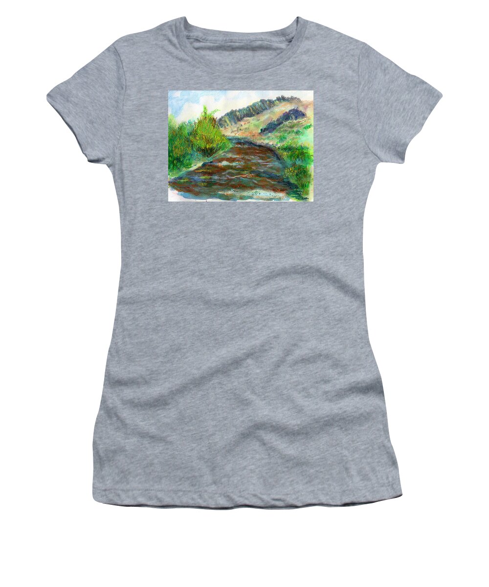 C. Sitton Paintings Women's T-Shirt featuring the painting Willow Creek in Spring by C Sitton
