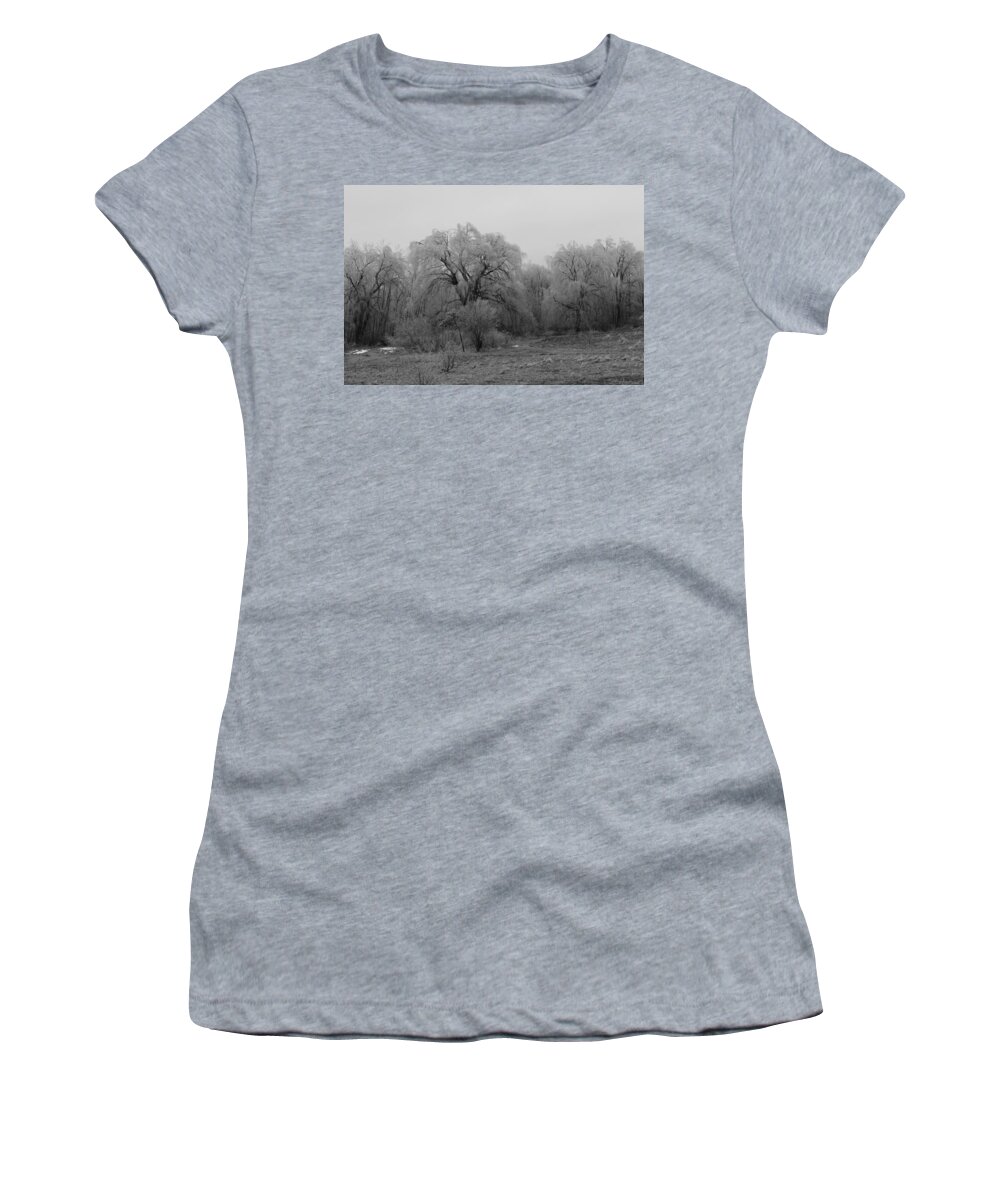 Winter Ice Women's T-Shirt featuring the photograph Willow Trees Iced B/W by Carrie Godwin