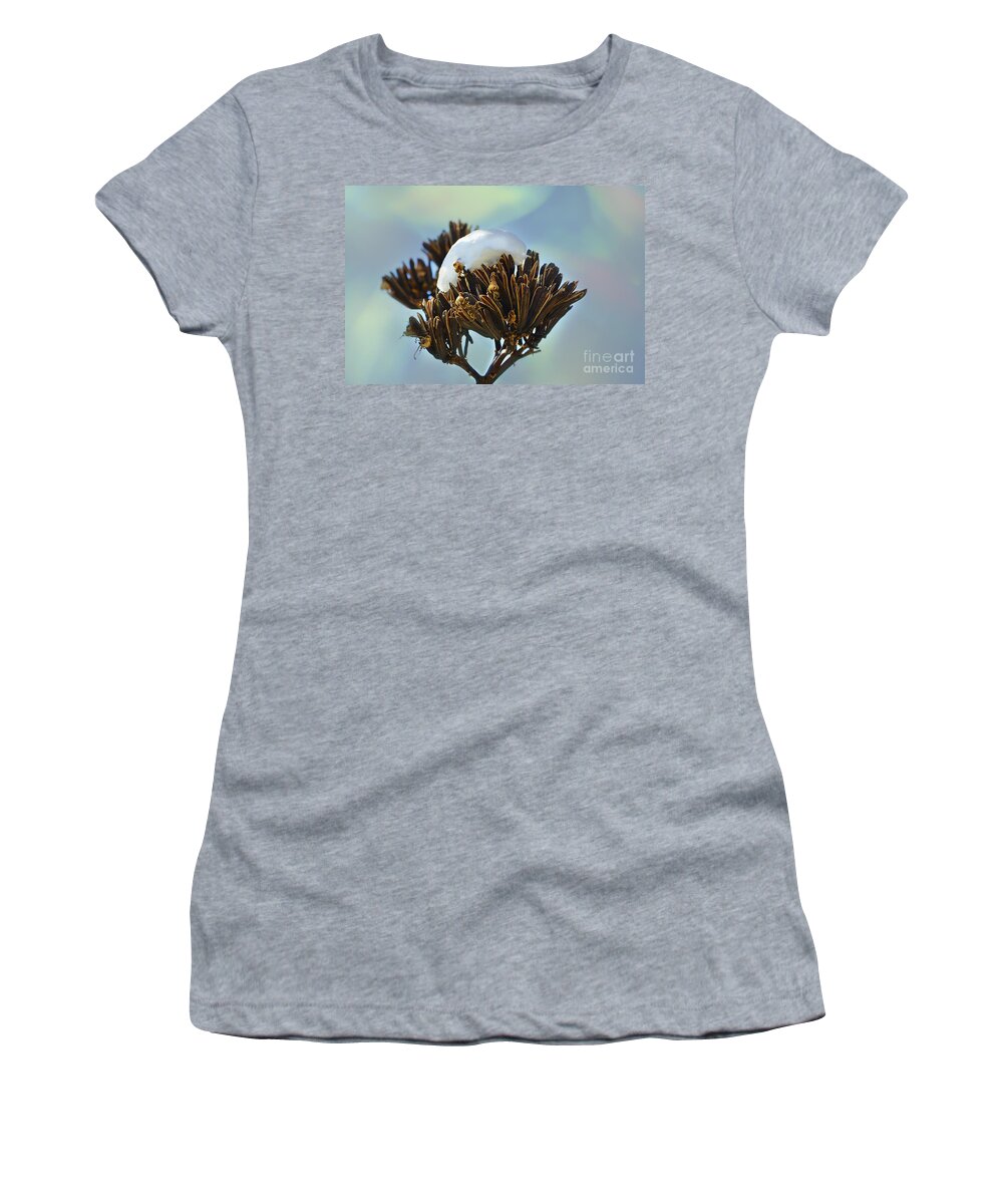 Agave Women's T-Shirt featuring the photograph Winter Agave Bloom by Donna Greene
