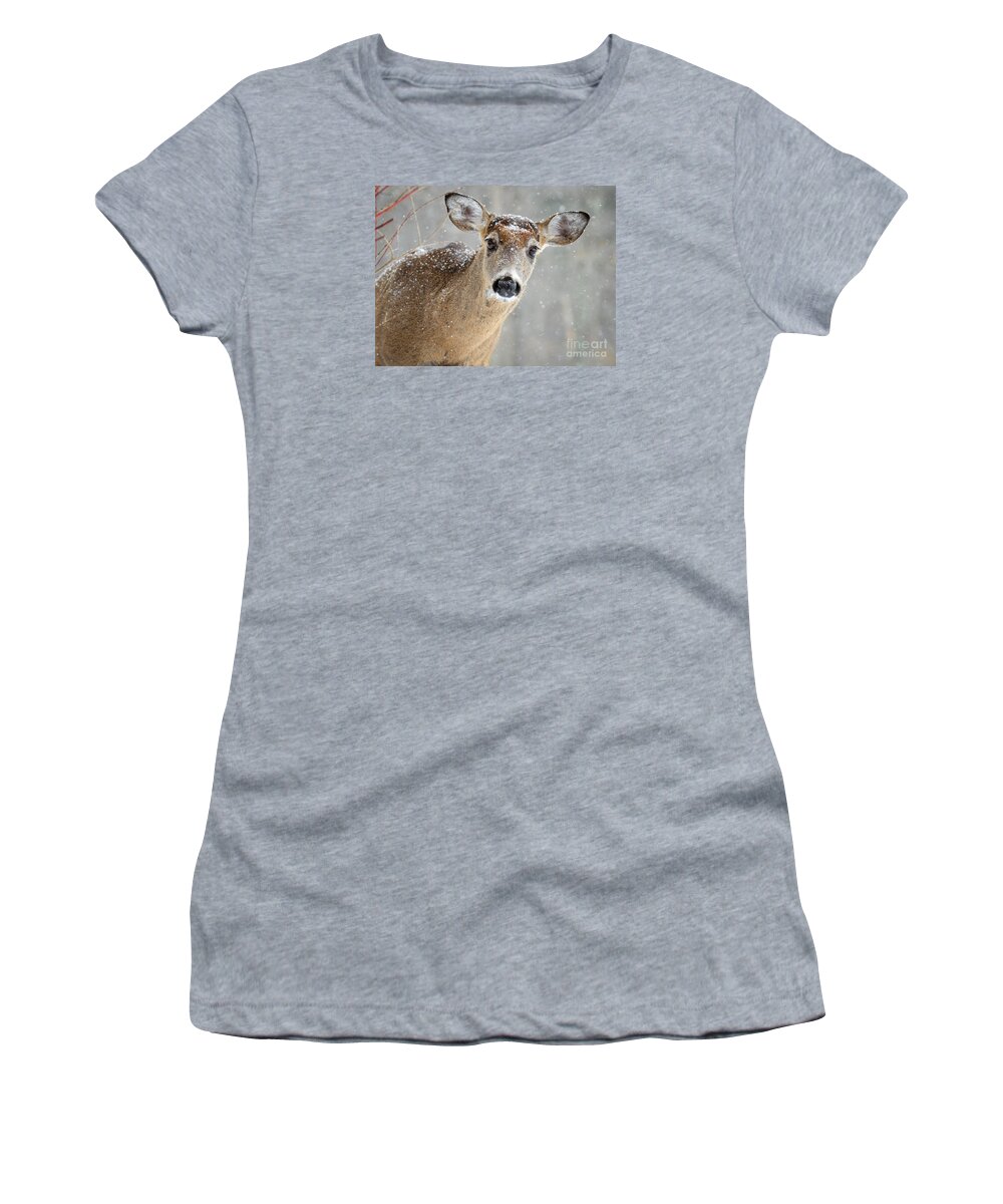 Deer Women's T-Shirt featuring the photograph Winter Buck by Amy Porter