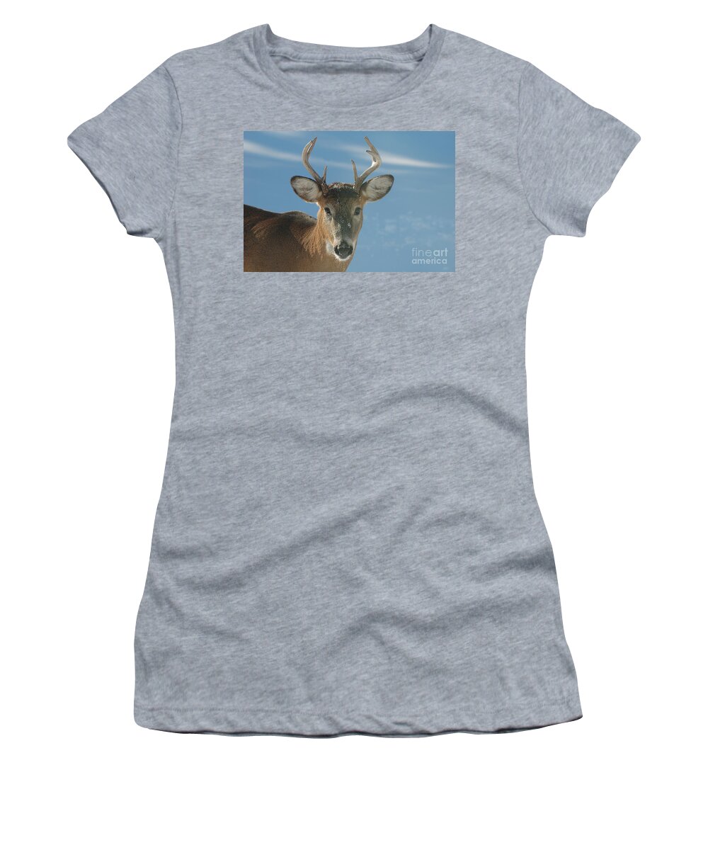 Eight-point Buck Women's T-Shirt featuring the photograph Winter Buck by Joan Wallner