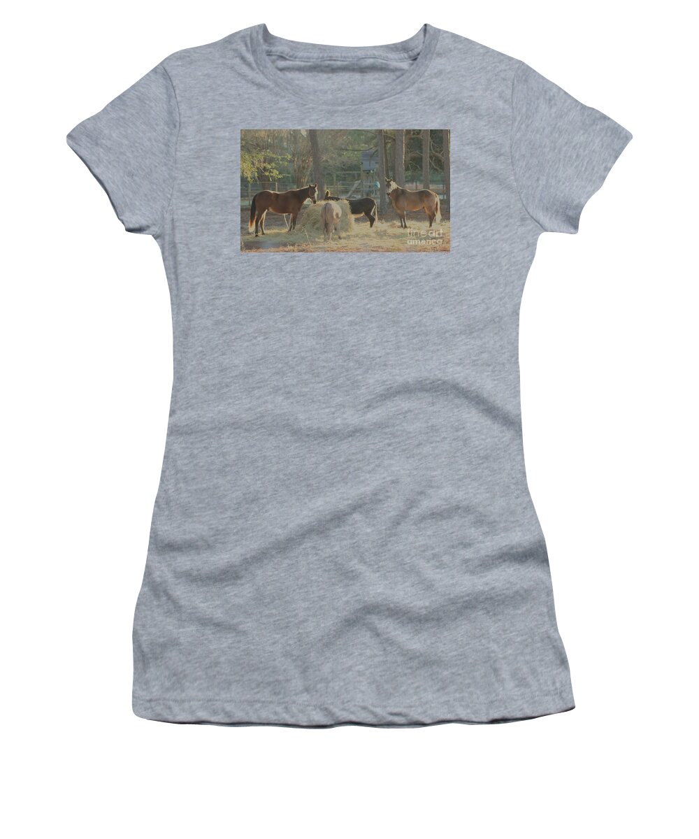 Horses Women's T-Shirt featuring the photograph Winter Dinner by Michelle Powell
