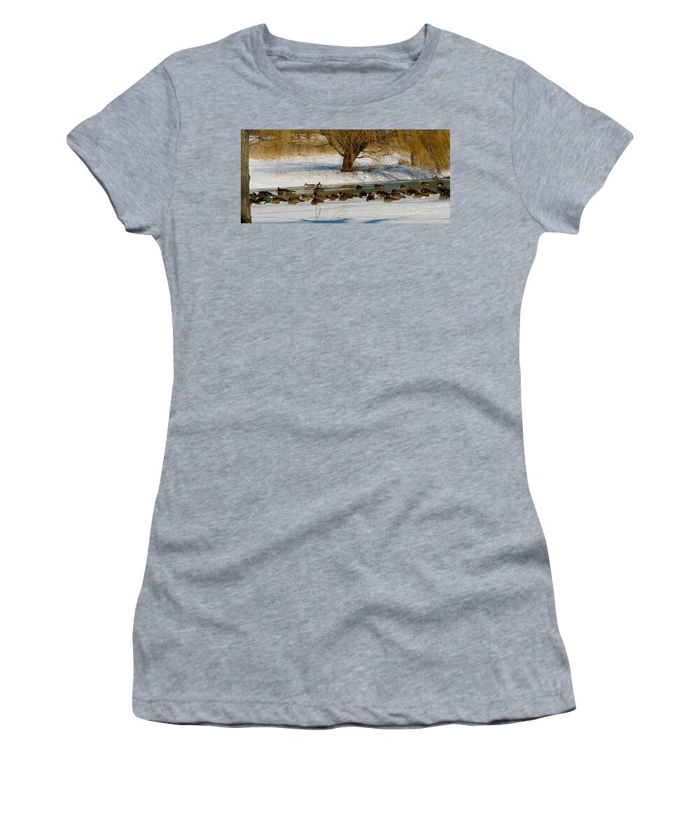 Winter Women's T-Shirt featuring the photograph Winter Geese - 01 by Larry Jost