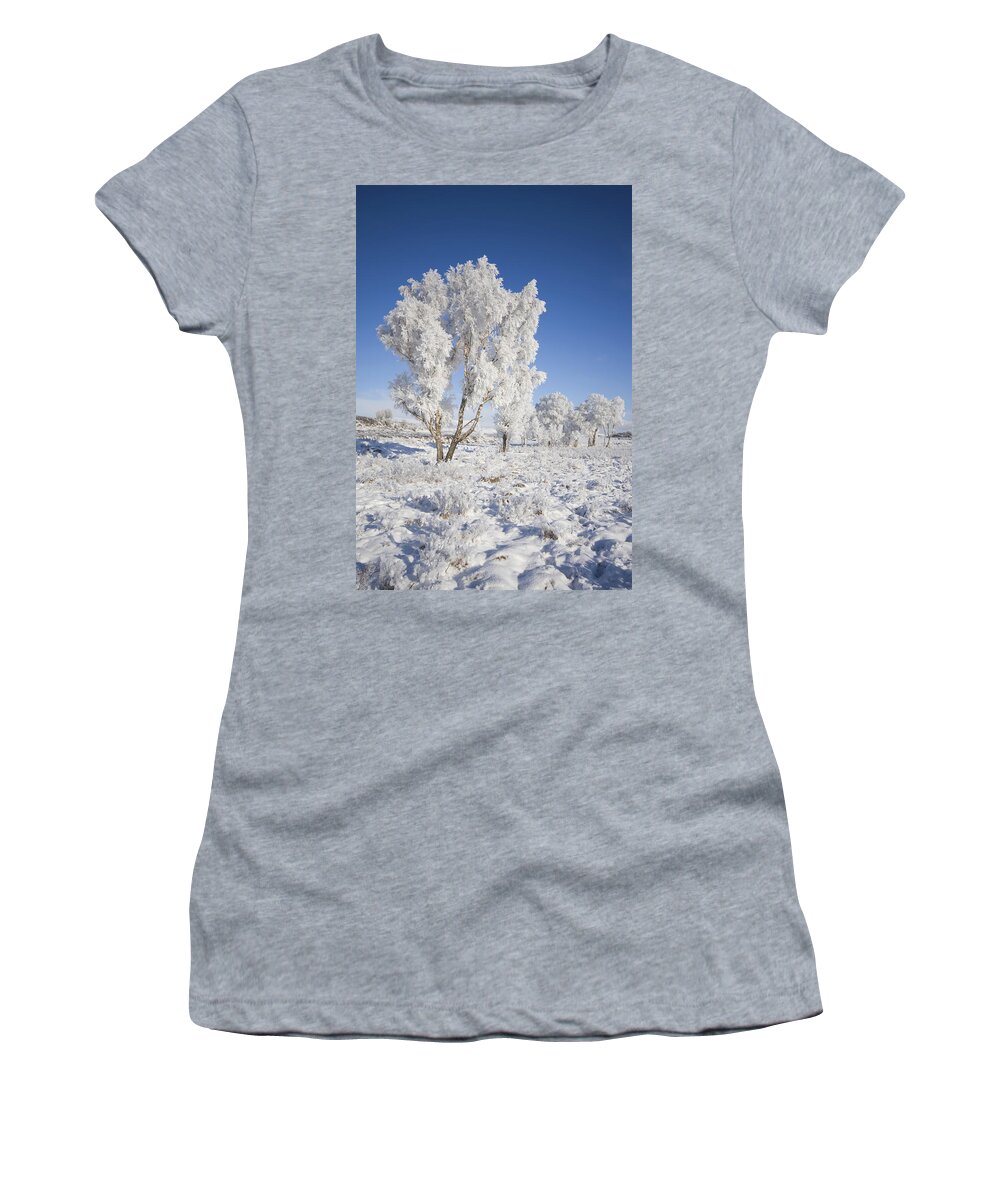 Winter Women's T-Shirt featuring the digital art Winter Magic by Pat Speirs