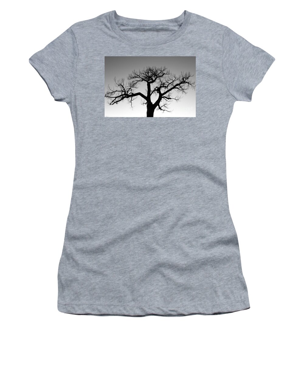 Tree Women's T-Shirt featuring the photograph Winter Tree Silhouette BW by James BO Insogna