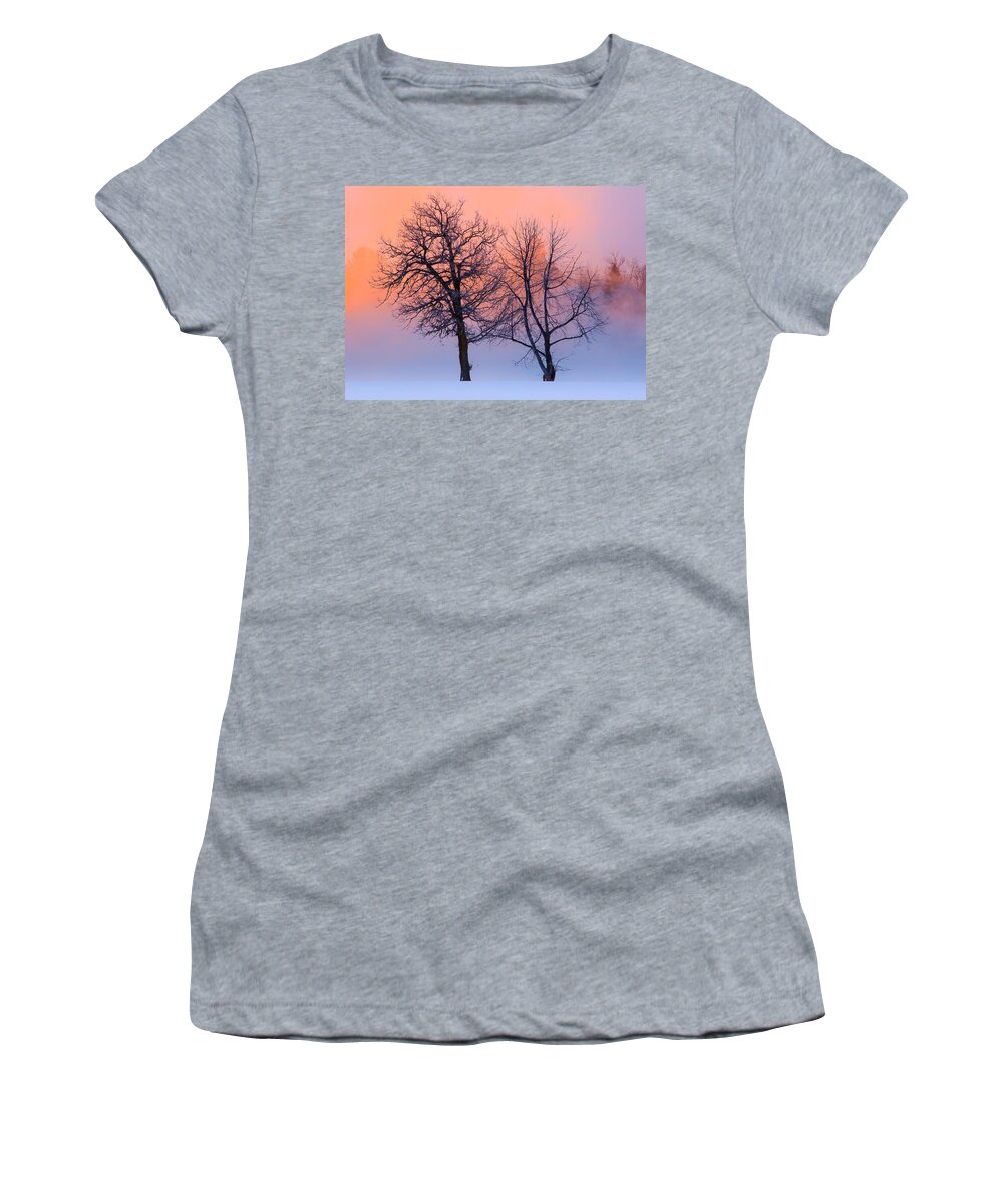 Blue Hour Women's T-Shirt featuring the photograph Winter Trees by Jakub Sisak