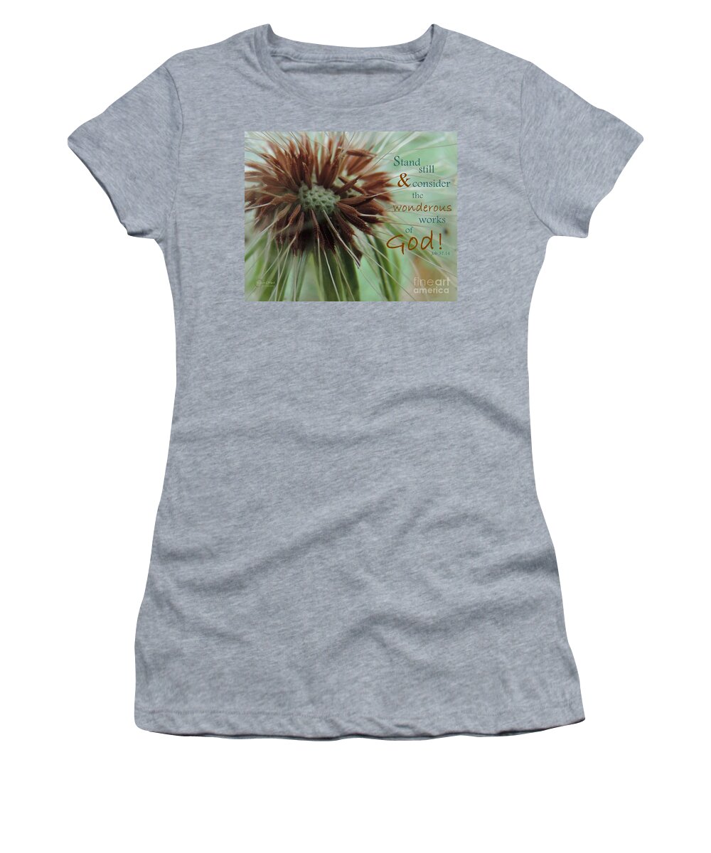 Dandelion Women's T-Shirt featuring the photograph Wish #6 - The Wish Series - Job 37 14 by Robert ONeil