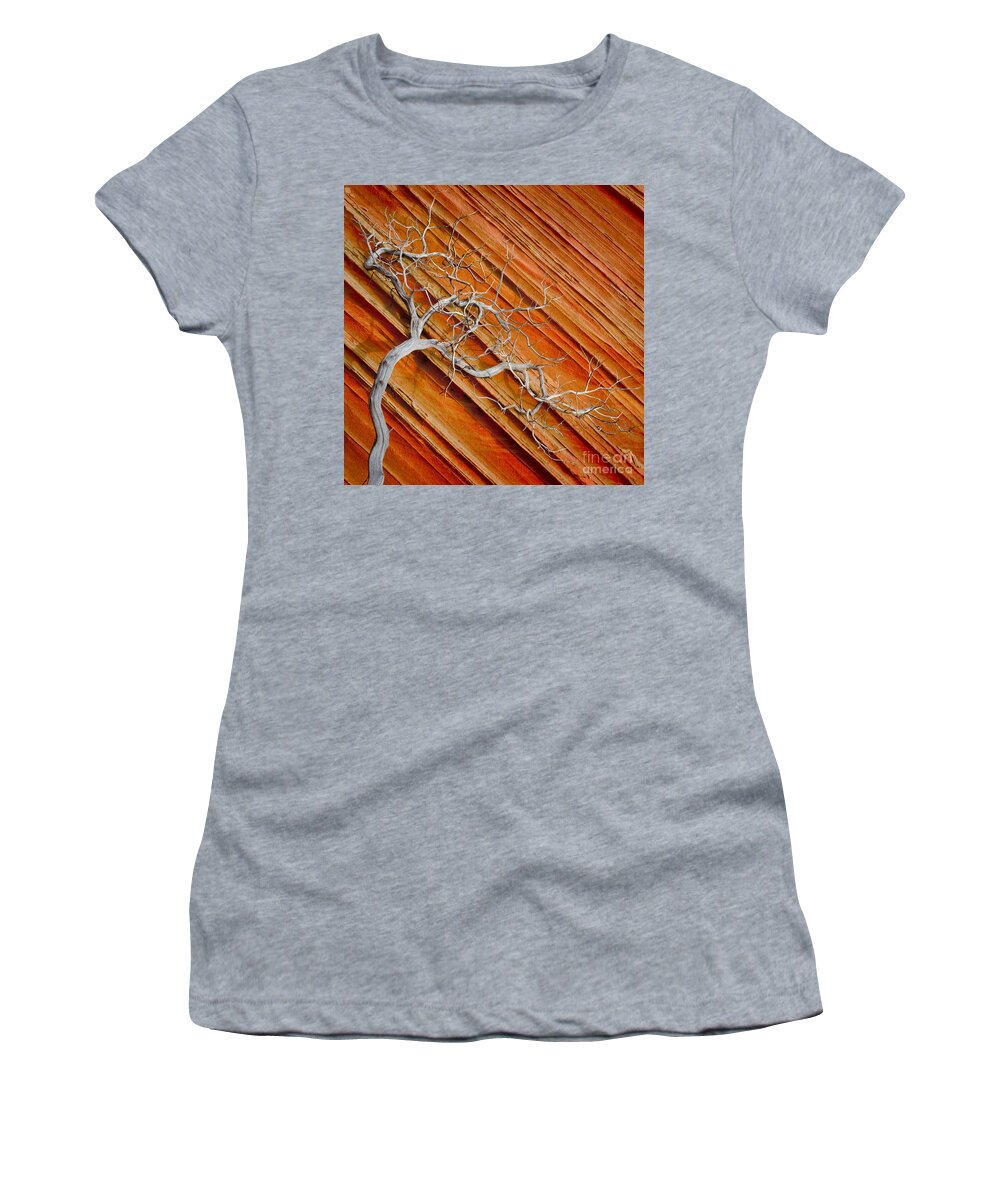 America Women's T-Shirt featuring the photograph Wood and Stone by Inge Johnsson