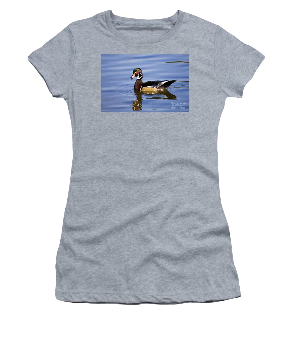 Wood Women's T-Shirt featuring the photograph Wood Duck - D008582 by Daniel Dempster