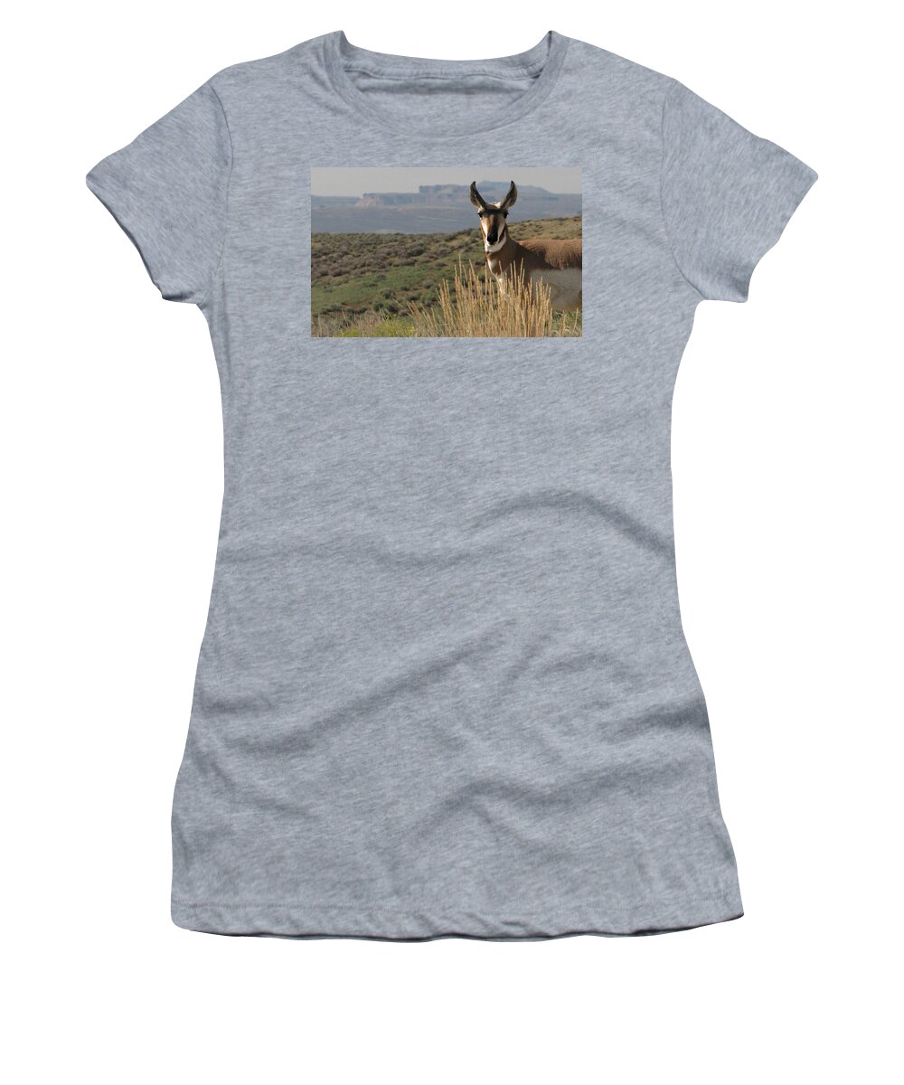 Flaming Gorge Women's T-Shirt featuring the photograph Wyoming Pronghorn by KATIE Vigil