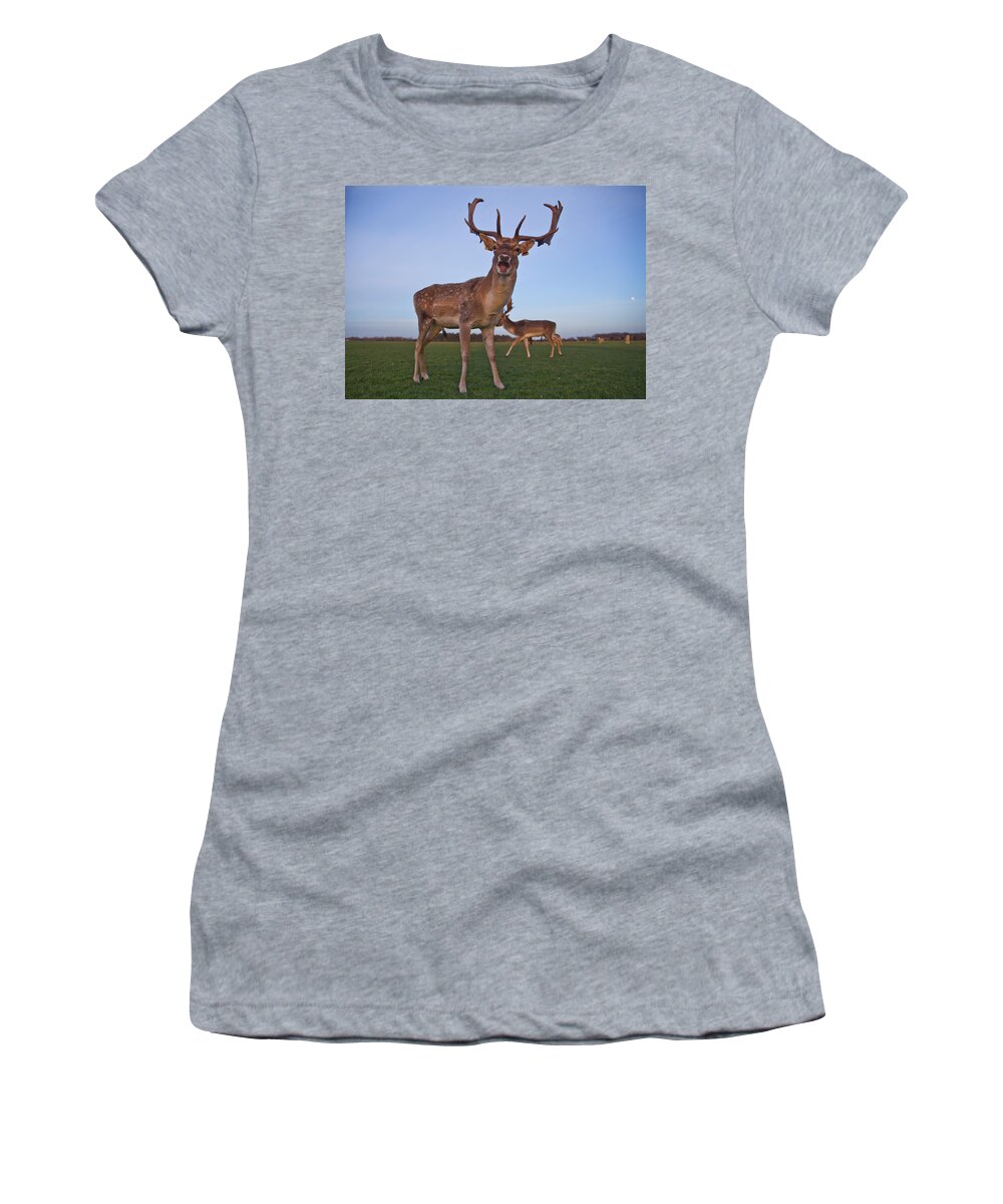 Deer Women's T-Shirt featuring the photograph Yawn by Alex Art