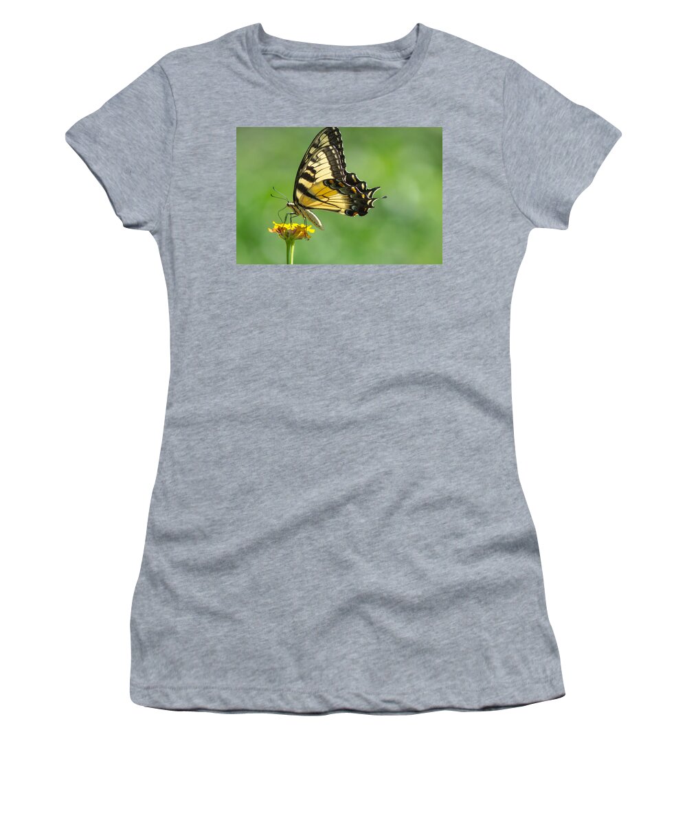 Butterfly Women's T-Shirt featuring the photograph Yellow Butterfly by Shannon Harrington