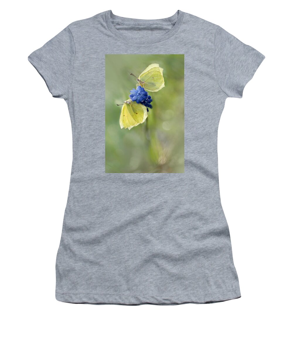 Butterfly Women's T-Shirt featuring the photograph Yellow Duet by Jaroslaw Blaminsky