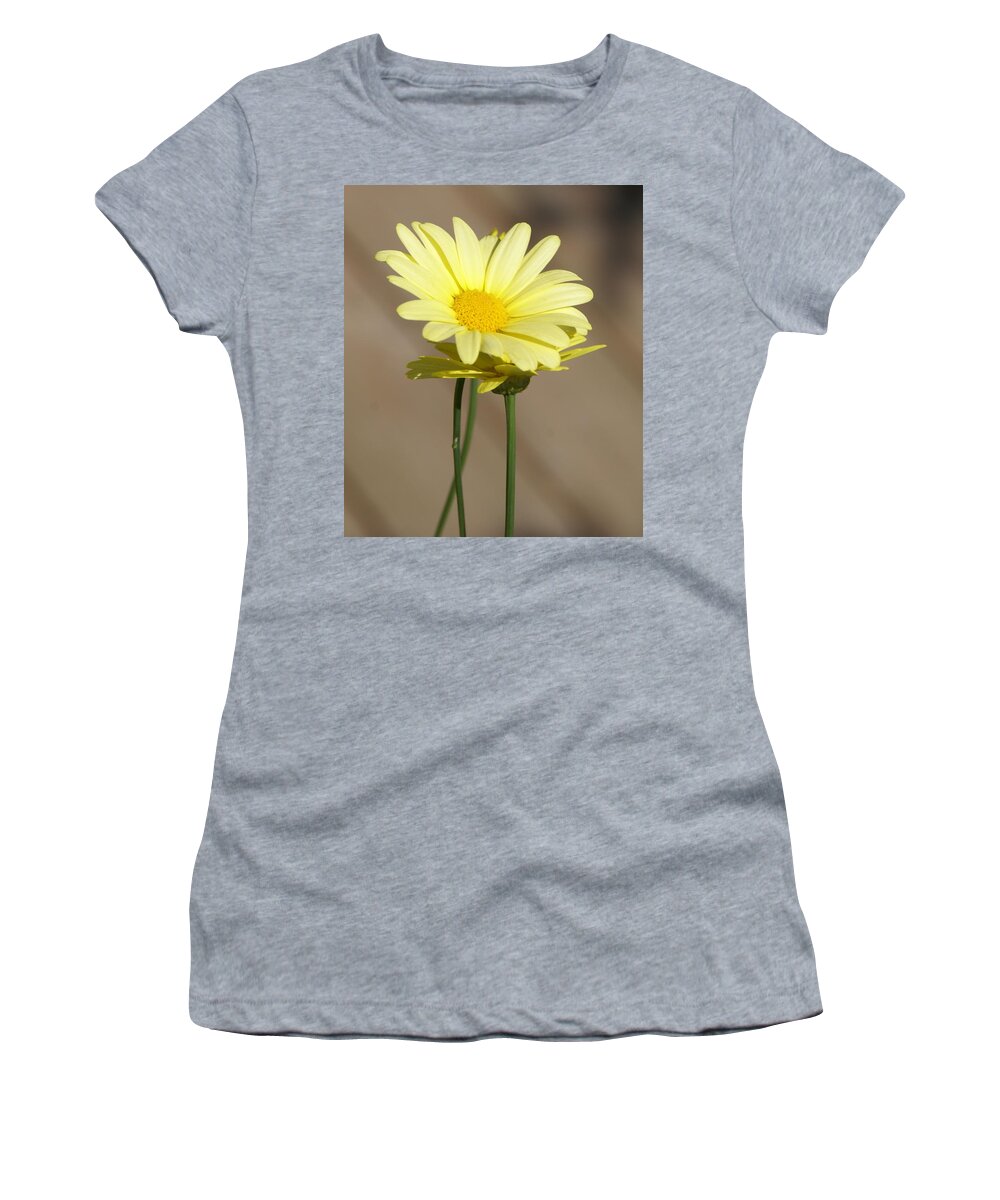 Yellow Flower Women's T-Shirt featuring the photograph Yellow Flowers on a Clear Day by Patricia Twardzik
