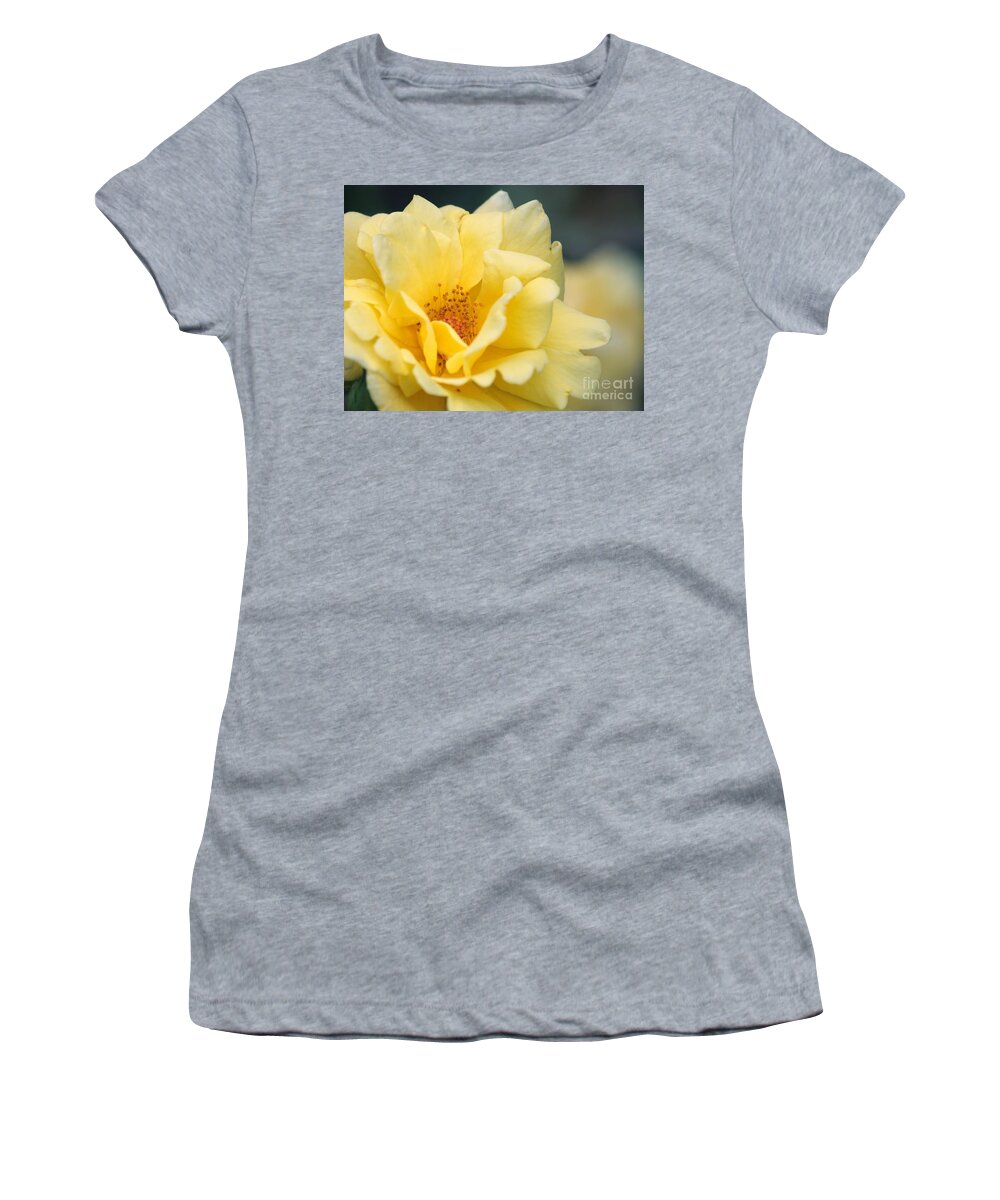 Rose Women's T-Shirt featuring the photograph Yellow Rose Macro by Carol Groenen
