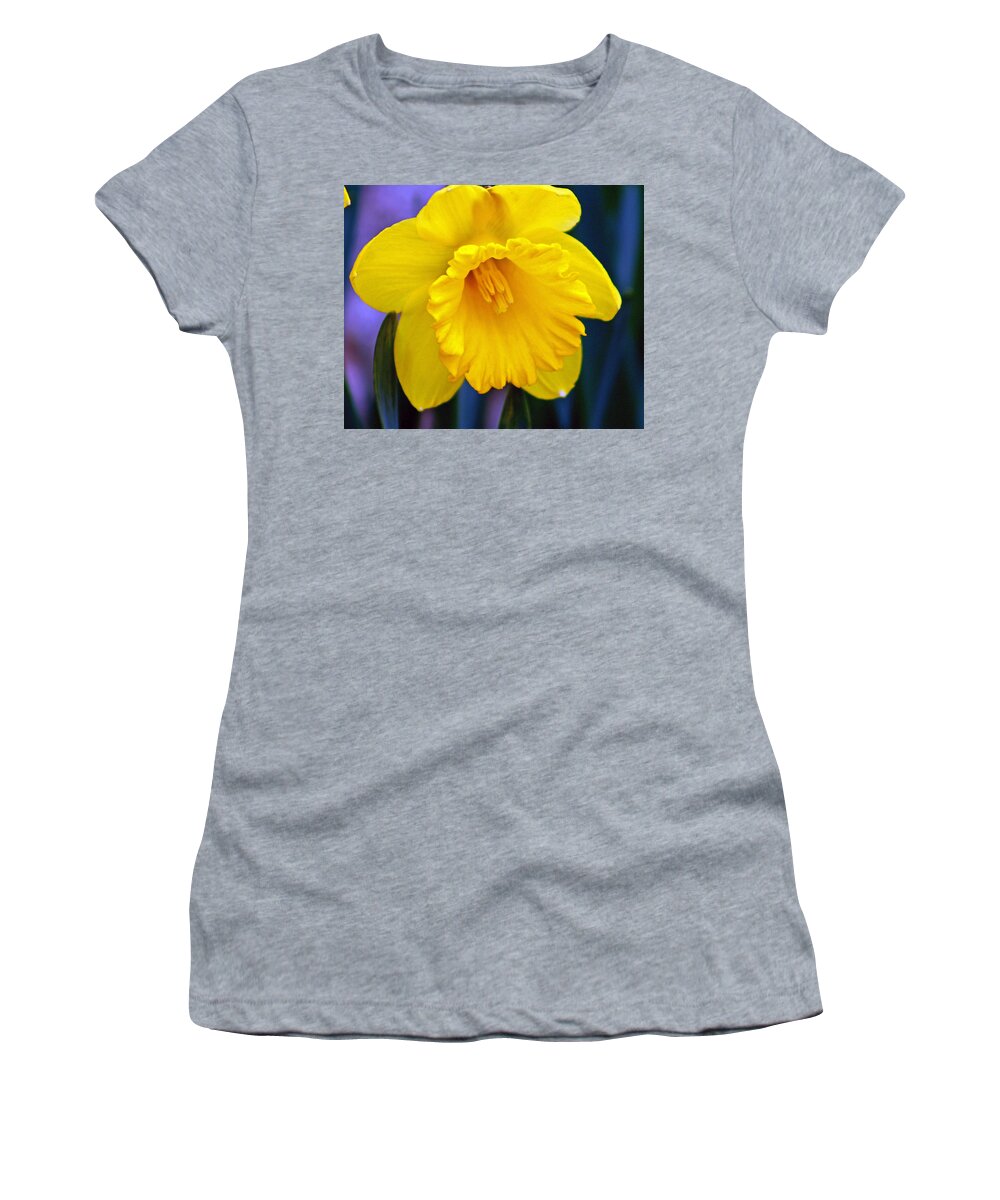 Daffodil Women's T-Shirt featuring the photograph Yellow Spring Daffodil by Kay Novy