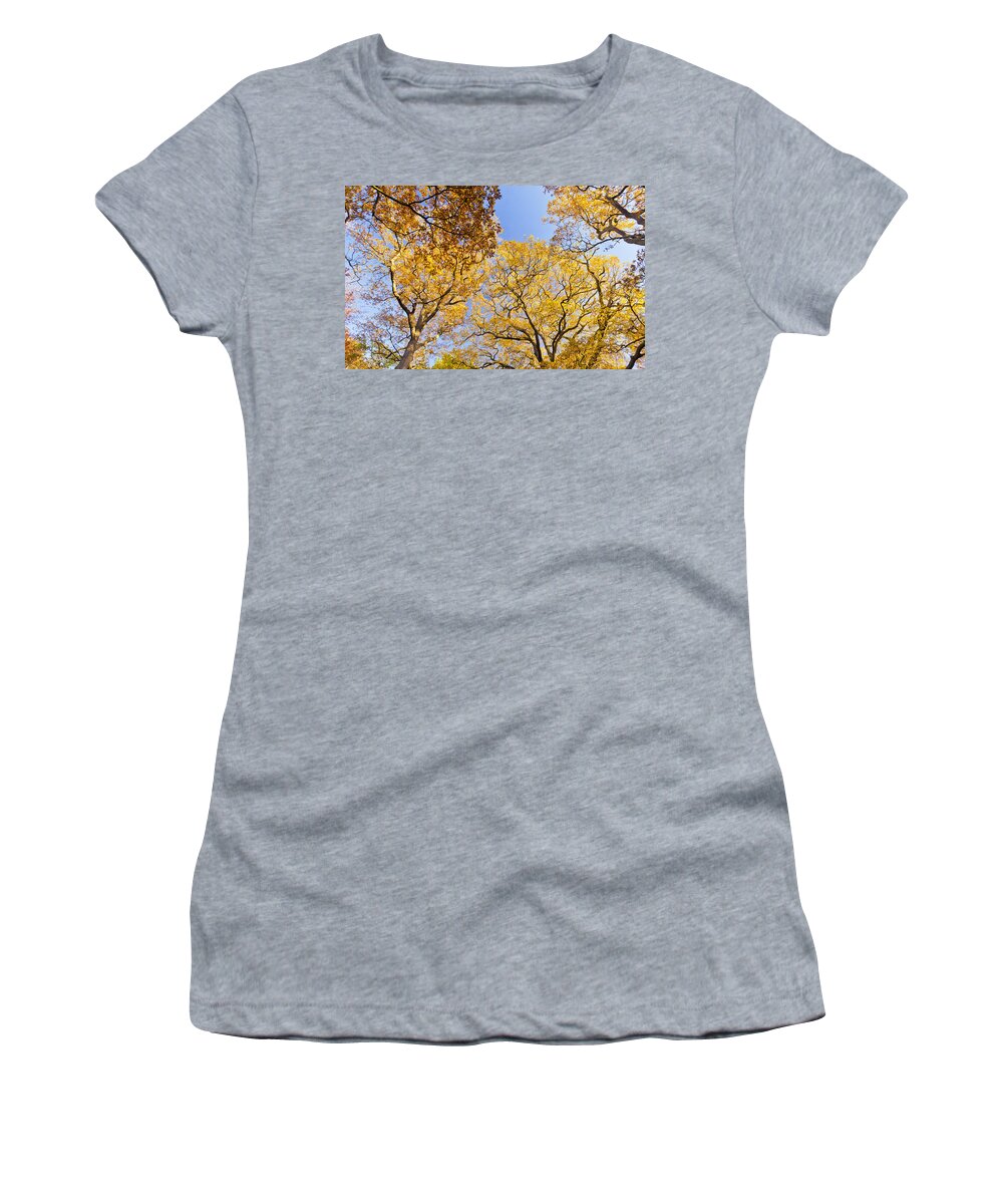 Autumn Women's T-Shirt featuring the photograph Yellow Trees by Maj Seda