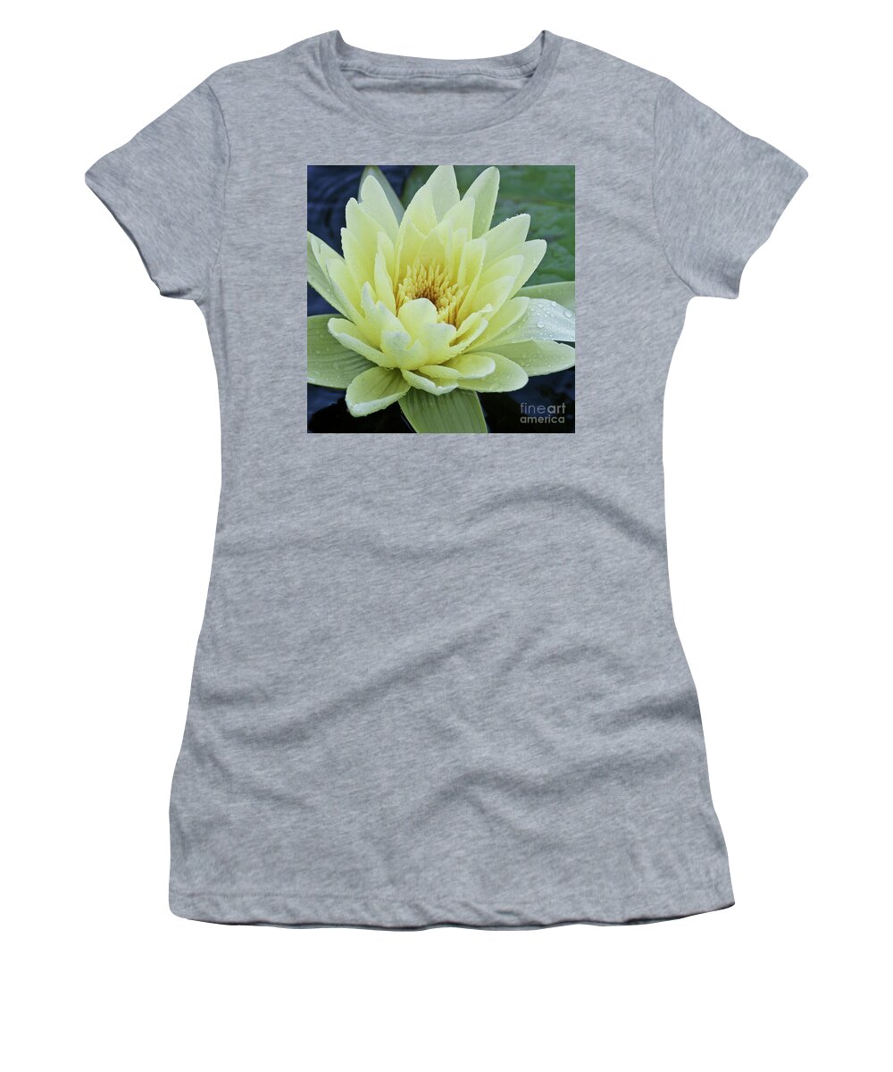 Water Llilies Women's T-Shirt featuring the photograph Yellow Water Lily Nymphaea by Heiko Koehrer-Wagner
