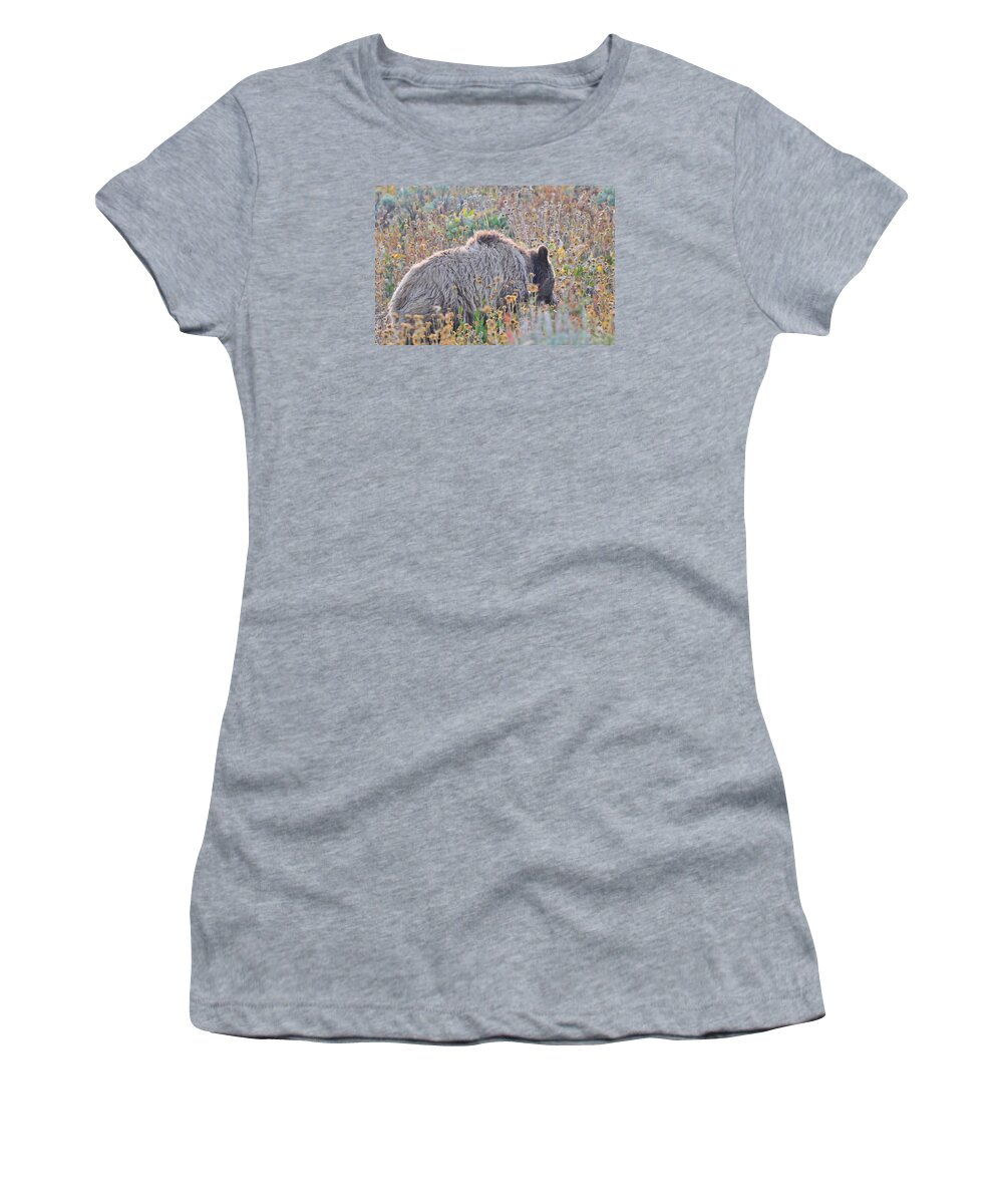 Animals Women's T-Shirt featuring the photograph Yellowstone Grizzly Bear by Ginger Wakem