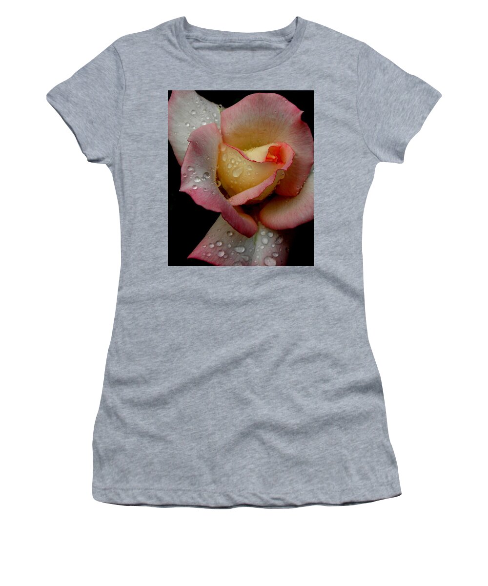 Rose Women's T-Shirt featuring the photograph Absolute Beauty by Kim Galluzzo Wozniak