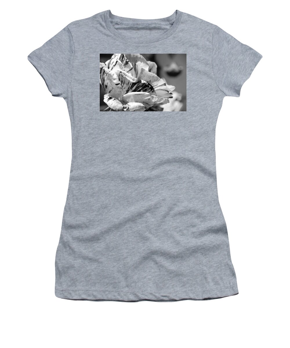 Rose Women's T-Shirt featuring the photograph Black and White Stripe Rose #1 by Amy Fose