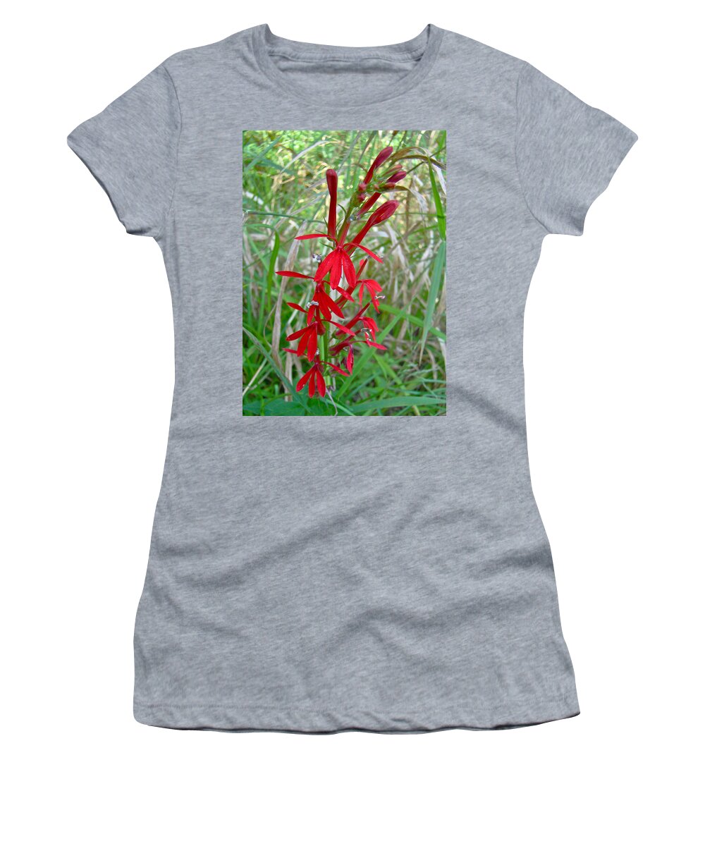 Cardinal Flower Women's T-Shirt featuring the photograph Cardinal Flower - Lobelia cardinalis #1 by Carol Senske