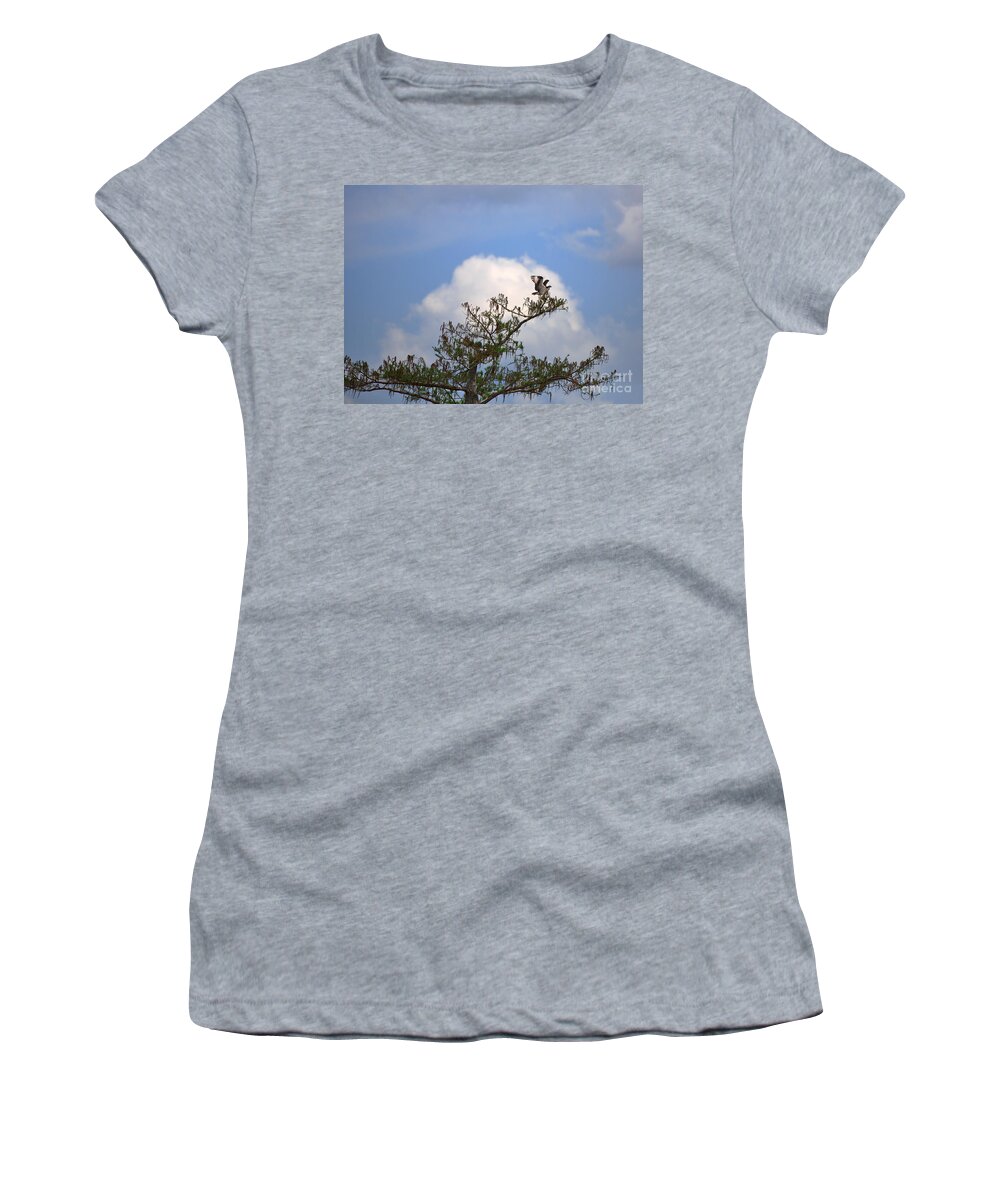 Osprey Women's T-Shirt featuring the photograph Osprey #1 by Louise Heusinkveld