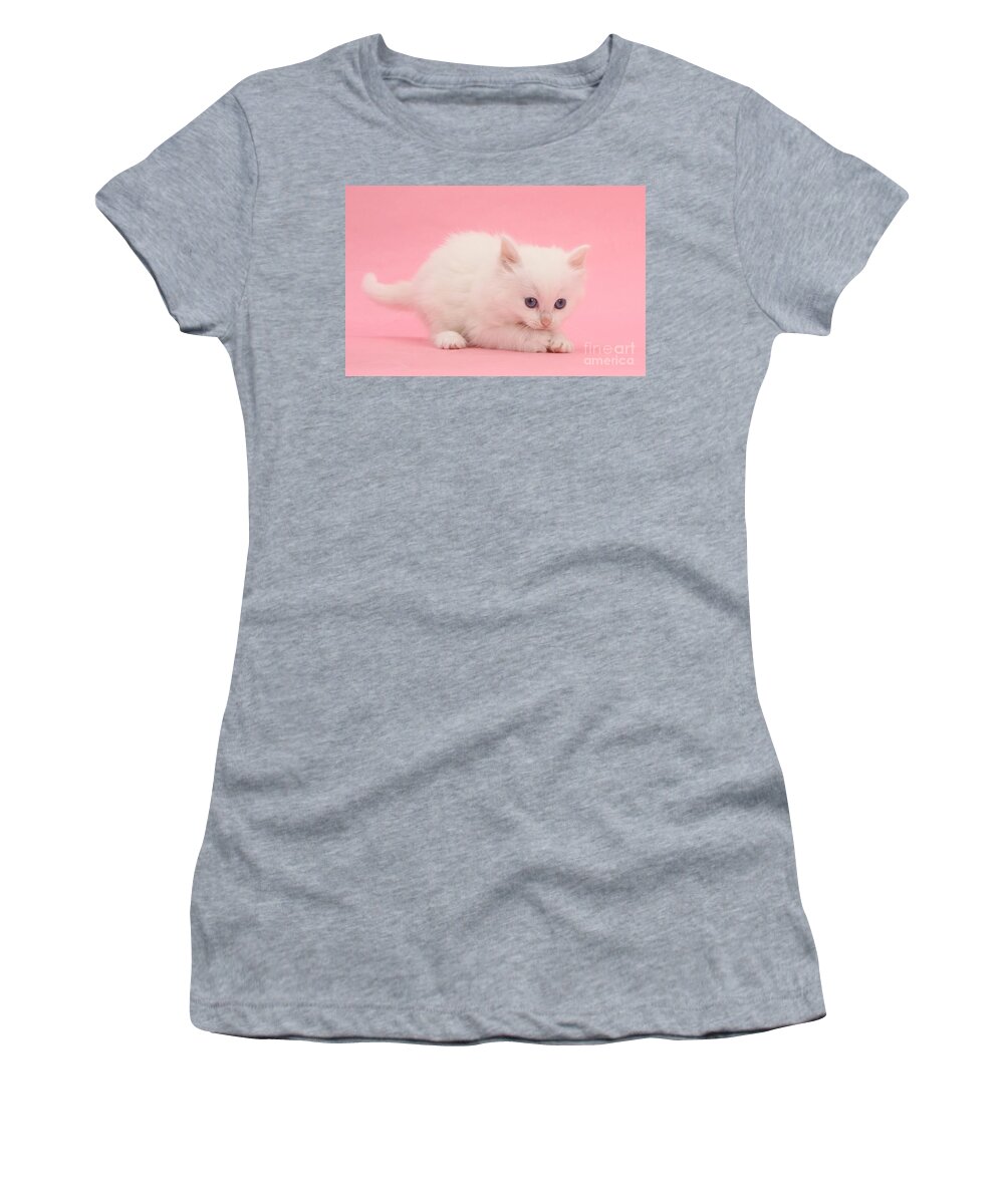 Animal Women's T-Shirt featuring the photograph White Kitten #1 by Mark Taylor
