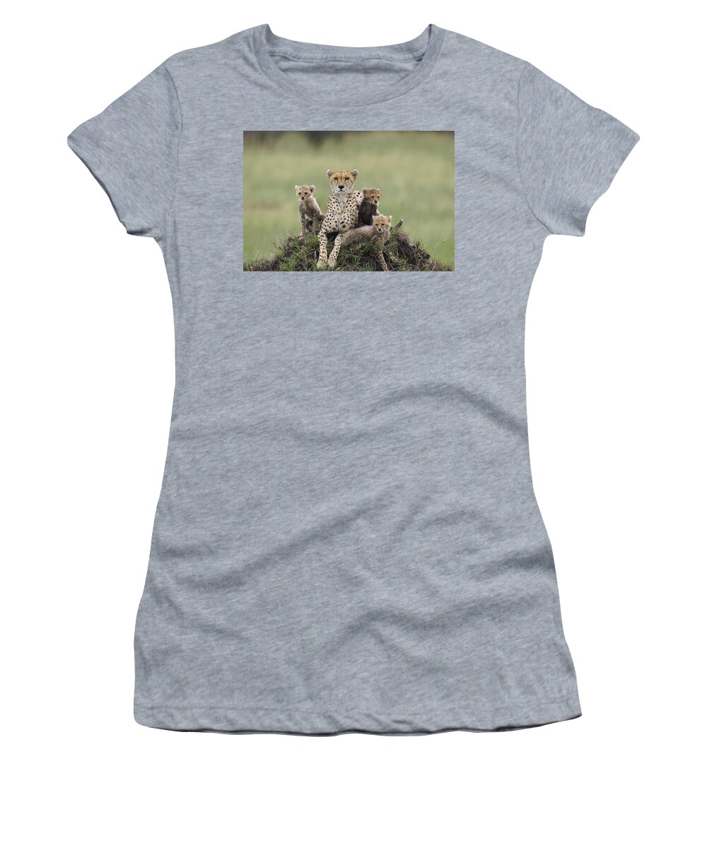 00761478 Women's T-Shirt featuring the photograph Cheetah Acinonyx Jubatus Mother by Suzi Eszterhas
