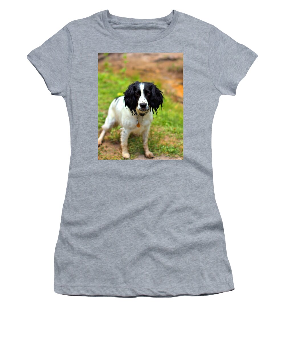Springer Spaniel Women's T-Shirt featuring the photograph Lady the Spaniel by Marlo Horne